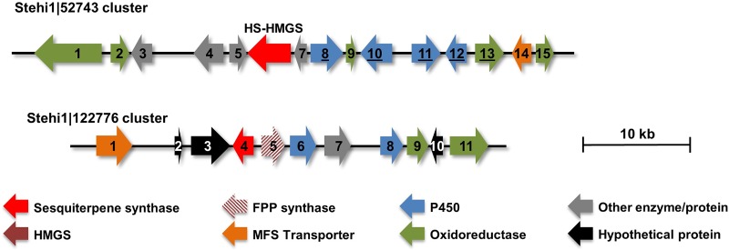 FIG 3