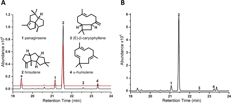 FIG 5