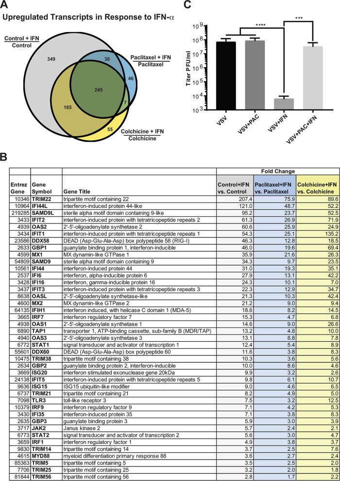 FIG 10