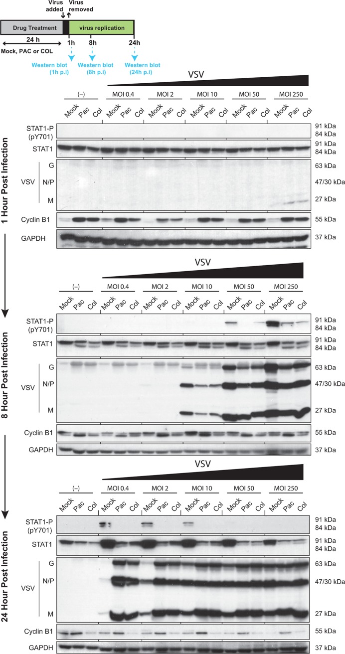 FIG 7