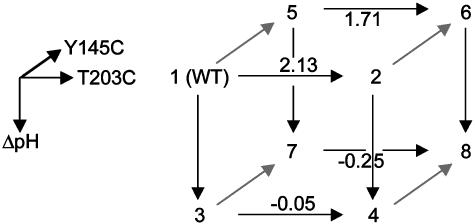 Fig. 6.