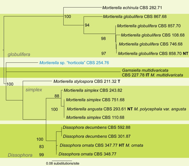 Fig. 7.