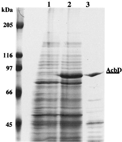 FIG. 5