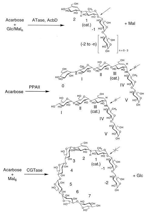 FIG. 7