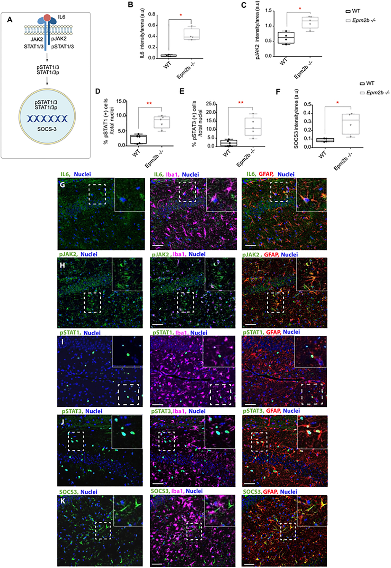 Figure 4: