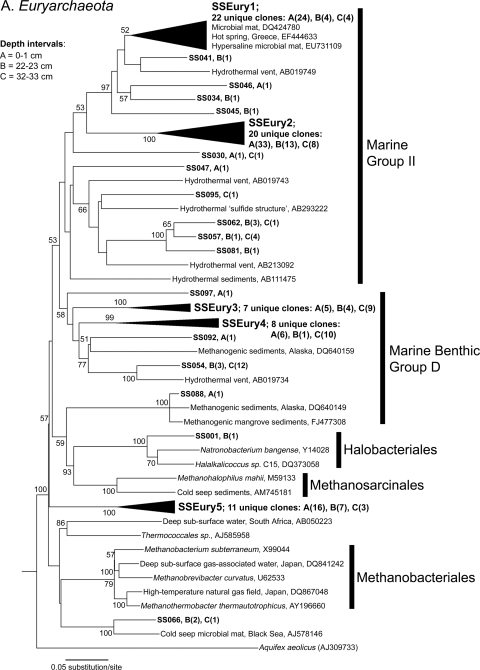 FIG. 5.