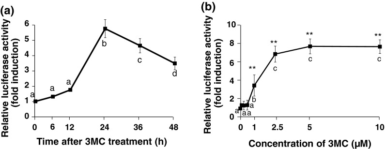 Fig. 4