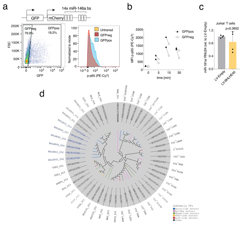 Extended Data Fig. 7