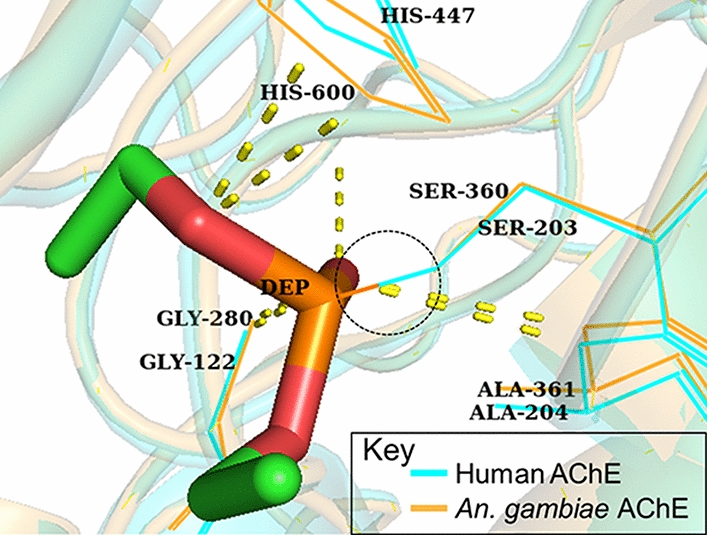 Fig. 3