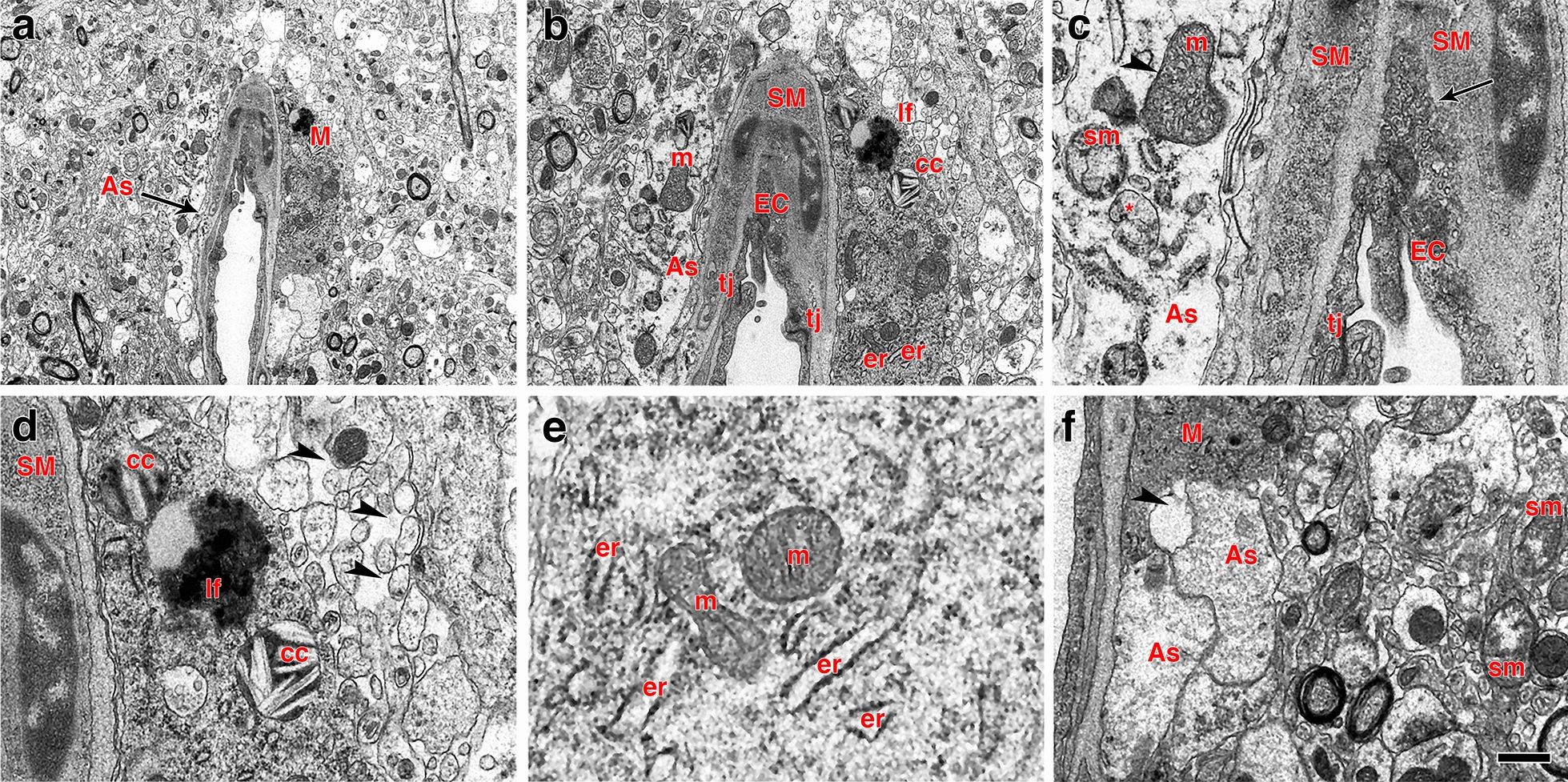 Fig. 15