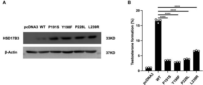 Figure 4