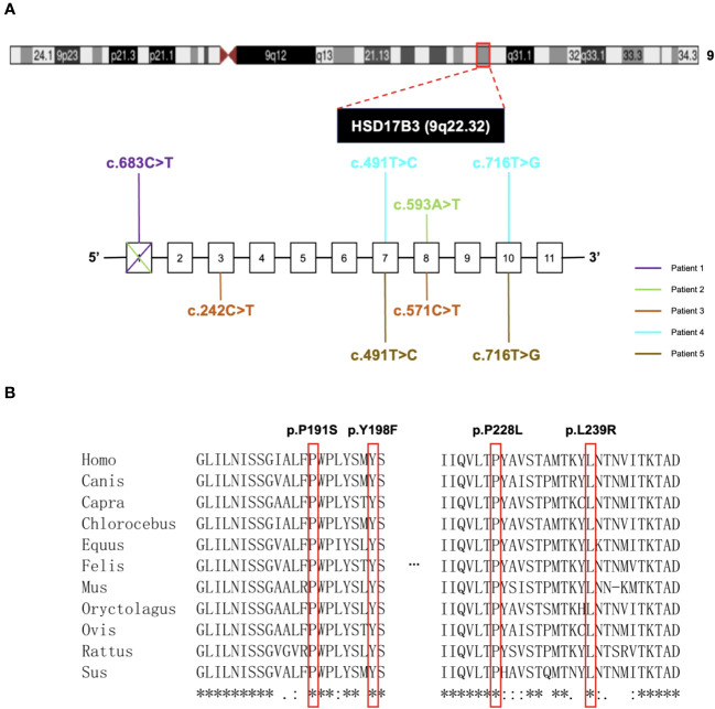 Figure 2