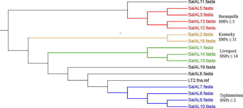 Figure 2: