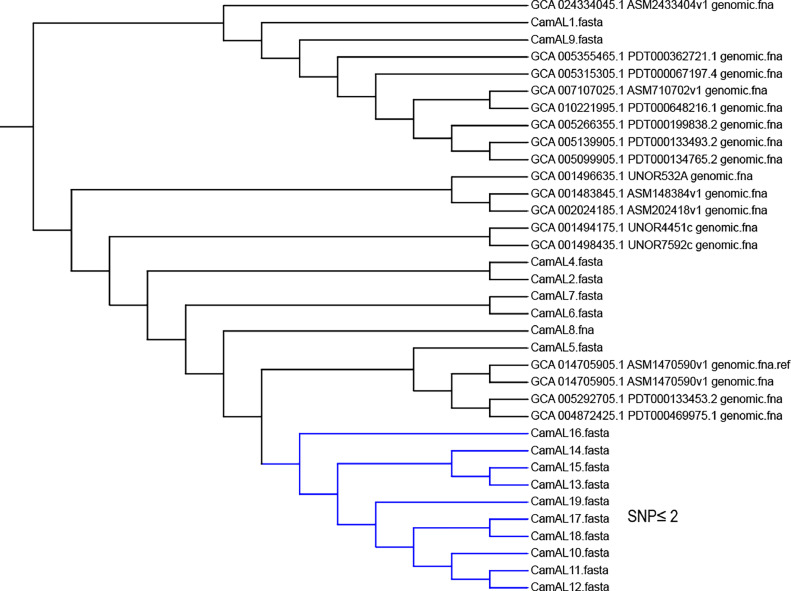 Figure 3: