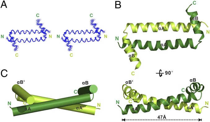 Fig. 2.