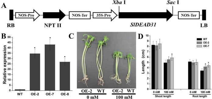 Fig 5