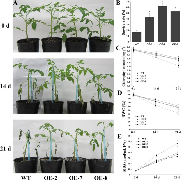 Fig 6