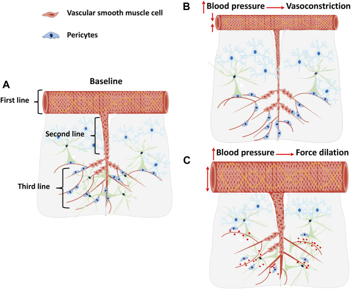 FIGURE 2