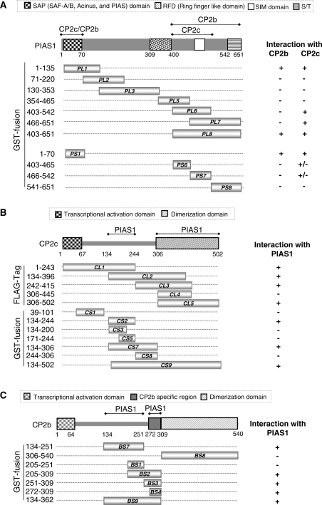 Figure 6.