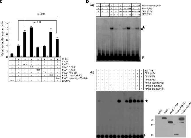 Figure 7.