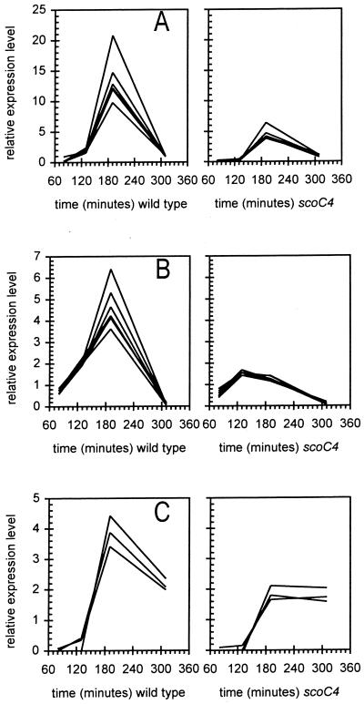 FIG. 3