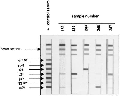 FIG. 1