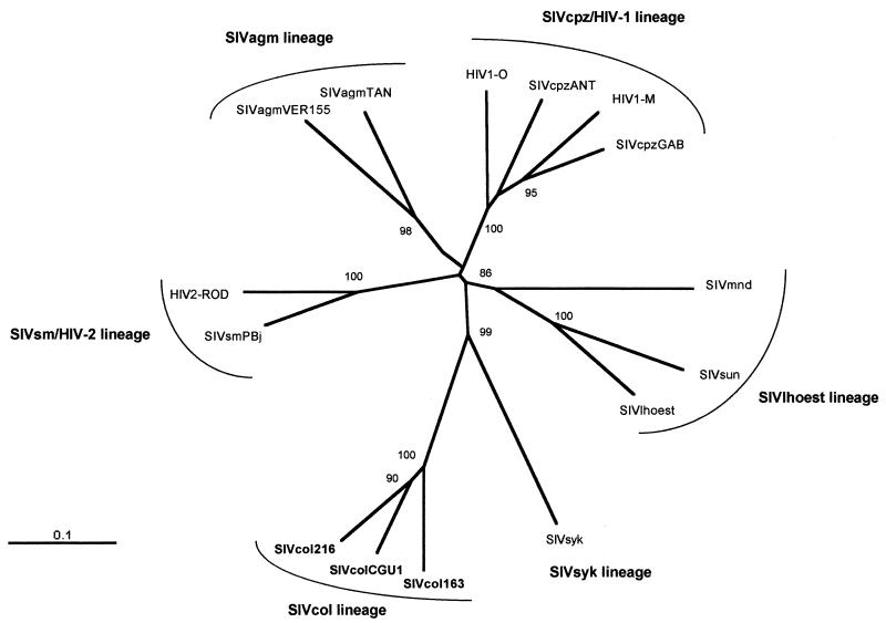 FIG. 6