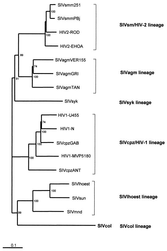 FIG. 5