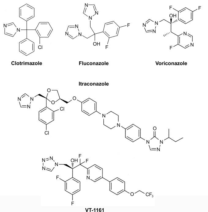 FIG 1