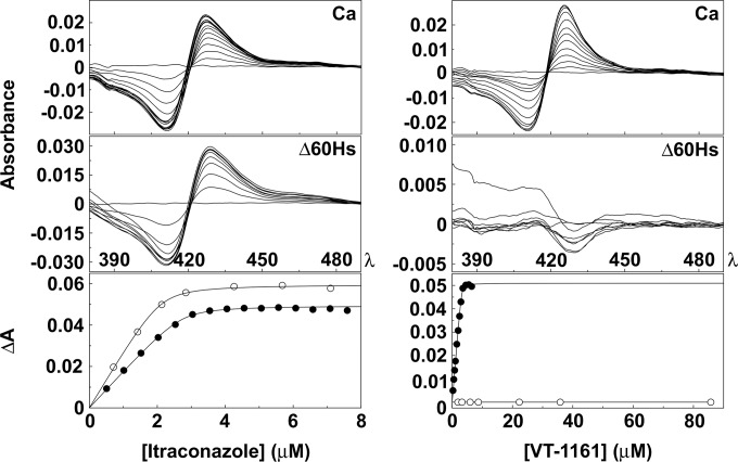 FIG 2