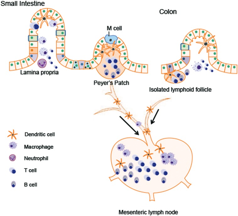 FIGURE 2