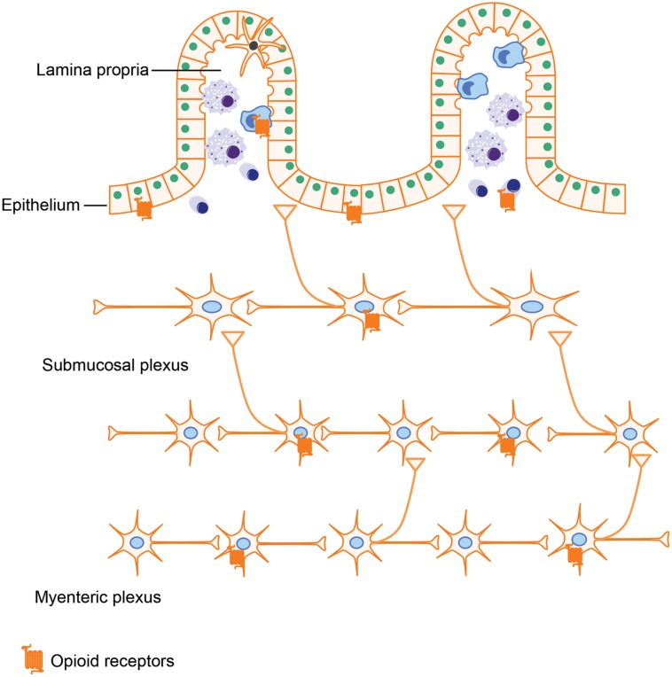 FIGURE 3