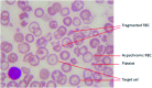 <b>FIG. 6.</b>