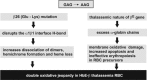 <b>FIG. 4.</b>