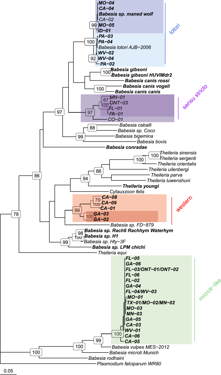 Fig. 2