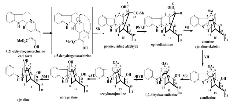 Scheme 2