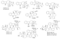Figure 29