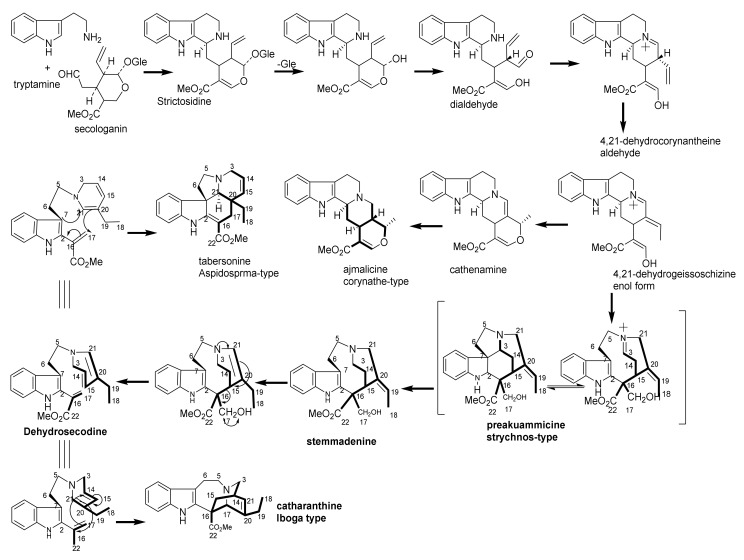 Scheme 1