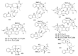 Figure 31