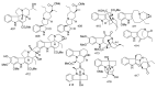 Figure 32