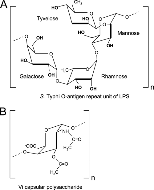 FIG. 6.