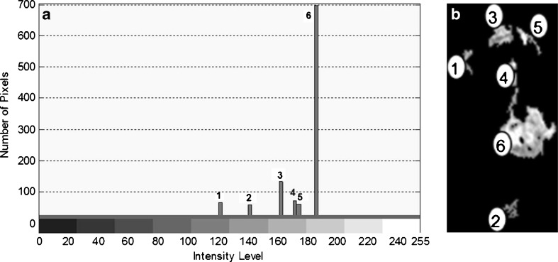 Fig. 5