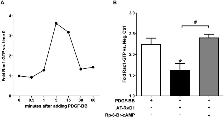 Fig 5