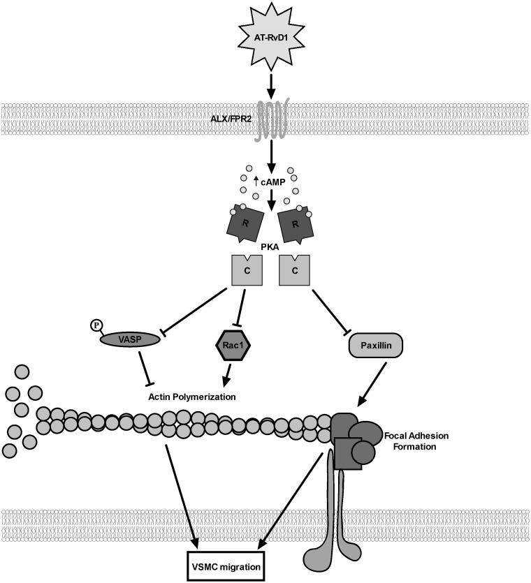 Fig 9