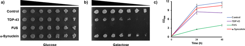 Figure 2: