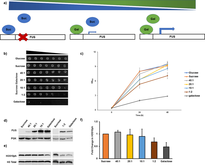 Figure 4: