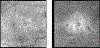 Fig 12.