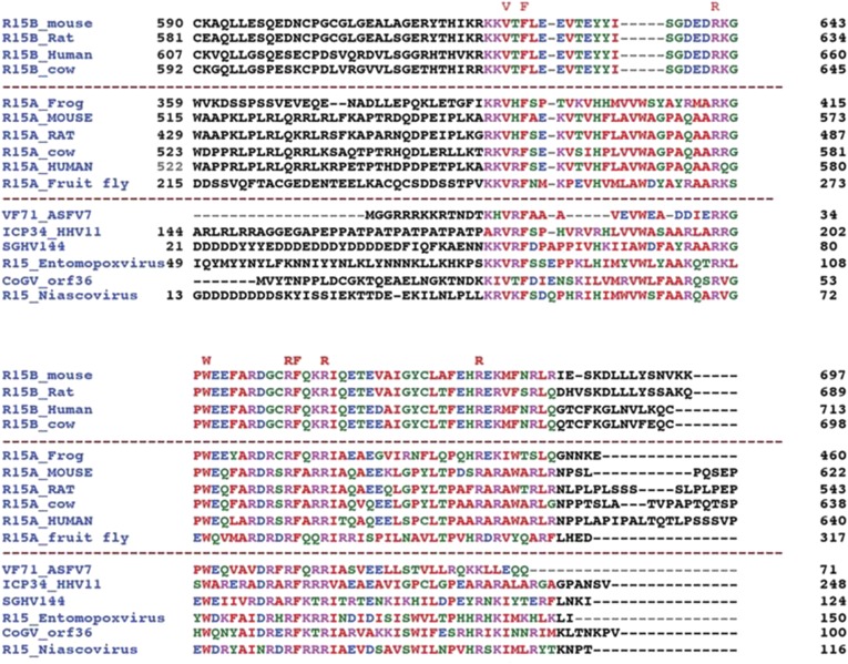 Figure 1—figure supplement 1.