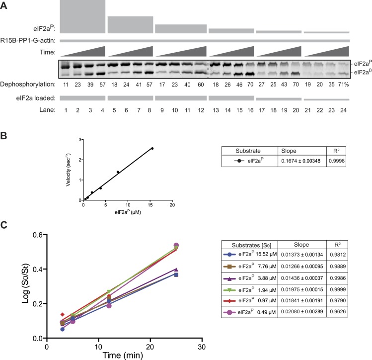 Figure 4—figure supplement 1.