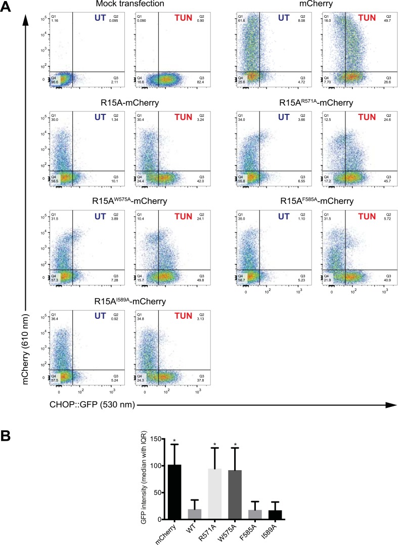 Figure 6—figure supplement 1.